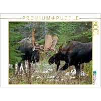 CALVENDO Gefecht 1000 Teile Puzzle quer, 1000 Stück(e), andere, 14 Jahr(e)