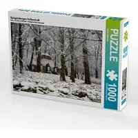 CALVENDO Spiegelsbergen Halberstadt 1000 Teile Puzzle quer 640x480mm, Schrader Ulrich; 7456846