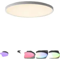 OEM Deckenleuchte, dimmbar, intelligente Steuerung, 46cm