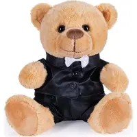 Ed Brubaker Teddybär Bräutigam im Anzug - 25 cm Teddy Geschenk für Hochzeit, Verlobung und Junggesellenabschied - Hochzeitsgeschenk Kuscheltier