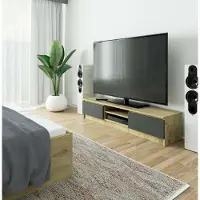RAUMHIRSCH FURNITURE TV-Lowboard 160cm Fernsehtisch 2 Türen 2 offene Fächer TV-Schrank 33cm hoch CLP