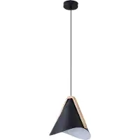 Rabalux 6650 Pendelleuchte 1 Spot Neva, E27, schwarz, Industriell, 24,5cm