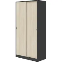 Dmora Kleiderschrank 2 Türen Orgosolo 100x200h cm Anthrazit, 4 Regale Kleiderstange