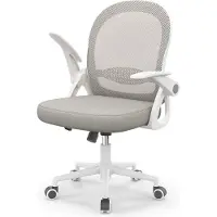Bigzzia Bürostuhl Ergonomischer - Schreibtischstuhl mit Atmungsaktiv Netzbespannung - Hochklappbare Armlehnen - Höhenverstellbarer - 360° Drehstuhl - Grau