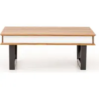 AEA Modern Couchtisch Tische Wohnzimmer Luxus Holz Möbel stil Couchtische