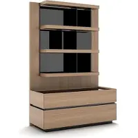 AEA Holzmöbel Wohnzimmer Luxus Wohnwand Modern Design Einrichtung