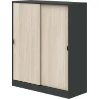 Dmora Kleiderschrank 2 Türen Resana 100x119h cm Anthrazit Schwarz, 4 Einlegeböden 2 Türen