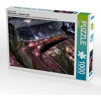 CALVENDO Ein Motiv aus dem Kalender Autowracks - rostende Liebe 1000 Teile Puzzle quer 640x480mm, Laue Ingo; 7278438