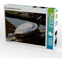 CALVENDO Schmuckschildkröte beim Sonnen 1000 Teile Puzzle quer 640x480mm, ; 7305550