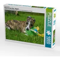 CALVENDO Ein Motiv aus dem Kalender Schnell wie der Wind - Whippet 1000 Teile Puzzle quer 640x480mm, Starick Sigrid; 7355687
