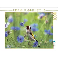CALVENDO Puzzle, Goldfink | 1000 Teile, fertige Größe 64 x 48 cm | Fotopuzzle für entspannte Stunden