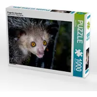 CALVENDO Fingertier (Aye-Aye) 1000 Teile Puzzle quer 640x480mm, Kribus Uwe; 7458167