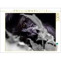 CALVENDO Puzzle Die Augen eines Gorillas 1000 Teile Lege-Größe 64 x 48 cm Foto-Puzzle Bild von Dr. Helmut Gulbins, 1000 Stück(e), andere, 14 Jahr(e)