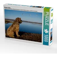 CALVENDO Berger de Brie 1000 Teile Puzzle quer 640x480mm, Teßen Sonja; 7343209