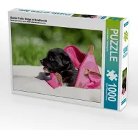CALVENDO Border Collie Welpe in Handtasche 1000 Teile Puzzle quer 640x480mm, Mayer Tierfotografie Andrea; 7459274