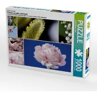 CALVENDO Ein Motiv aus dem Kalender Florales zu jeder Jahreszeit 1000 Teile Puzzle quer 640x480mm, Jäger Anette/Thomas; 7284579