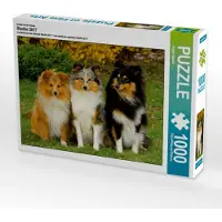 CALVENDO Ein Motiv aus dem Kalender Sheltie 2017 1000 Teile Puzzle quer 640x480mm, Starick Sigrid; 7355187
