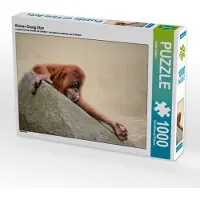 CALVENDO Kleiner Orang Utan 1000 Teile Puzzle quer 640x480mm, Hultsch Heike; 7273764