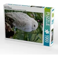 CALVENDO Ein Motiv aus dem Kalender Eulen und Käuze 1000 Teile Puzzle hoch 480x640mm, Hands Art Four; 7298892