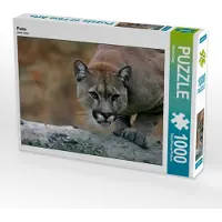 CALVENDO Puma 1000 Teile Puzzle quer 640x480mm, Berg Martina; 7381065