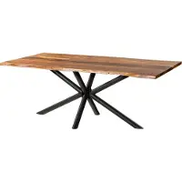 MASSIVMOEBEL24.DE MASSIVMOEBEL24 Baumtisch Akazie 200x100x74 natur lackiert / Epoxid schwarz, Kreuzgestell rund anthrazit matt EPOXY