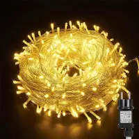 ROSNEK 30m 300 LED Lichterkette 8 Lichtmodi Wasserdicht Lichterketten Innen Garten Party Weihnachten Halloween Hochzeit Deko, Warmweiß