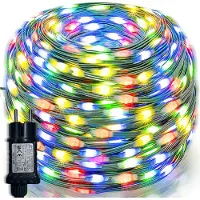 Rosikey 10M LED Lichterkette Bunt Weihnachtsdeko Grün Draht Strombetrieben für Garten Party DIY Innen Weihnachtsbaum (PVC, 8Modi, Speicherfunktion, DC24V)