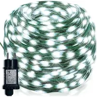 Rosikey 10M LED Lichterkette Weiß Weihnachtsdeko Grün Draht Strombetrieben für Garten Party DIY Innen Weihnachtsbaum (PVC, 8Modi, Speicherfunktion, DC24V)