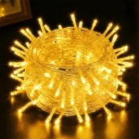 Rosikey 20M 200LEDs 8 Modi Lichterkette Strom LED Weihnachten Lichterkette Transparente Kabel Zimmer Deko Licht Party Garten Weihnachtsbaum Beleuchtung, Gelb