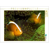 CALVENDO Puzzle Nemos in ihrem grünen Zuhause 1000 Teile Lege-Größe 64 x 48 cm Foto-Puzzle Bild von Ute Niemann, 1000 Stück(e), andere, 14 Jahr(e)