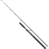 Shimano Fishing Beastmaster Ax Static Welsrute