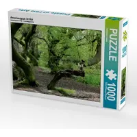 CALVENDO Amselausguck im Mai 1000 Teile Puzzle quer 640x480mm, Loewa Bernhard; 7414885