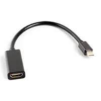 Lanberg mini Displayport - HDMI (AD-0005-BK)