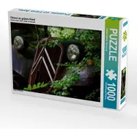 CALVENDO Citroen im grünen Kleid 1000 Teile Puzzle quer 640x480mm, Adams foto-you.de Heribert; 7354151
