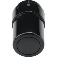 Danfoss Fühlerelement RAX tiefschwarz RAL 9005 013G6075