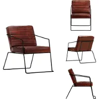 vidaXL Sessel Dunkelbraun Echtleder - Sessel
