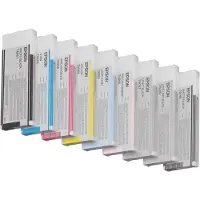 Epson Singlepack Light Light Black T606900, 220 ml, Schwarz, Tinte auf Pigmentbasis, 220 ml, 1 Stück(e), Einzelpackung