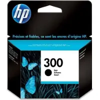 HP 300 Original Tintenpatrone Schwarz (CC640EE)