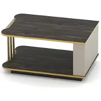 AEA Couchtisch Beistelltisch Arbeitszimmer Tisch Sofatisch mit Regal Büromöbel