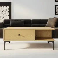 Sonni Couchtisch, Wohnen Tische,Wohnzimmer Wohnzimmertisch100 x 55 x 40 cm Couchtische Holzwerkstoff mit 2 Schubladenschrank,Holzfarbe