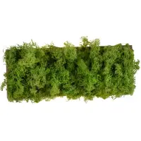 JUST LIGHT Rechteckige Deckenleuchte Green Carlo mit Moos