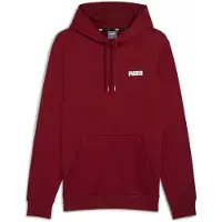 Puma Ess+ 2 Col Small Logo Kapuzenpullover