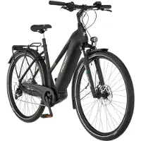 Fischer Fahrrad "VIATOR 4.2i 630 ACTIVE" 9 Gang Shimano Mittelmotor