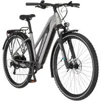 Fischer E-Bike FAHRRAD "TERRA 2.2 688 ACTIVE" Gr. 45, grau, Elektrofahrräder, 45cm, 29 Zoll (73,66cm), E-Bike, Pedelec, Elektrofahrrad für Damen und Herren