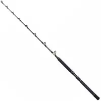 Shimano Fishing Tld B Stand Up Trollingrute Silber 1.65 m / 50 Lbs Silber 1.65 m