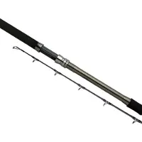 Shimano Fishing Speedmaster Ax Deep Drop Bootsrute