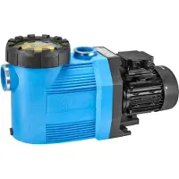 Speck BADU 90/20 Schwimmbad Umwälzpumpe Poolpumpe,Ausführung: 230 V