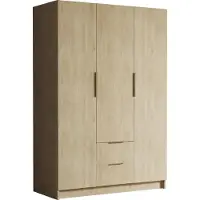 Mirjan 24 Kleiderschrank Calwi I 150, Schlafzimmer, Drehtürenschrank, mit Kleiderstange, Modern, Garderobenschrank, Metallgriffe (Farbe: Eiche Cremona + Gold)