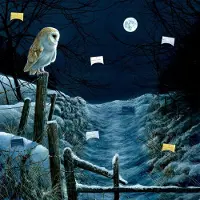 Coppenrath Verlag Zettelkalender Magie und Mythos der Winter-Weihnacht