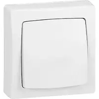 Legrand OTEO Aufputz Ein-Ausschalter 2-polig, 086003L